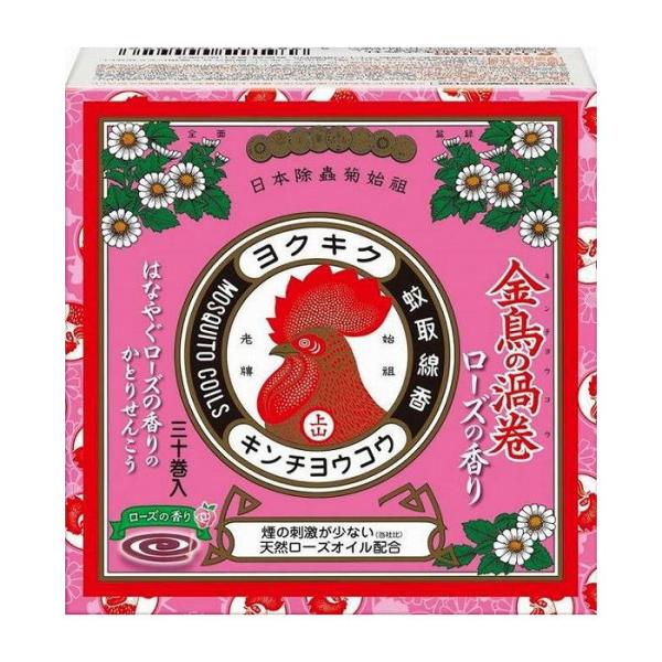 {e ̉Q  ~jTCY [Y̍ 30  򕔊Oi s