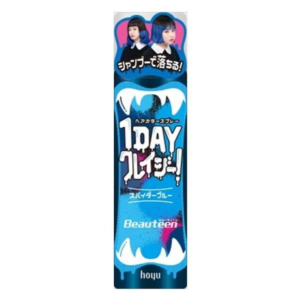 z[[ r[eB[ 1DAYNCW[XpC_[u[ s