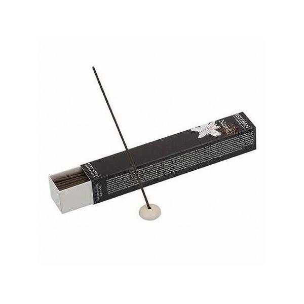 2�Z�b�g ���{���� ESTEBAN �G�X�e�o�� �l���� 40�{ ����s��