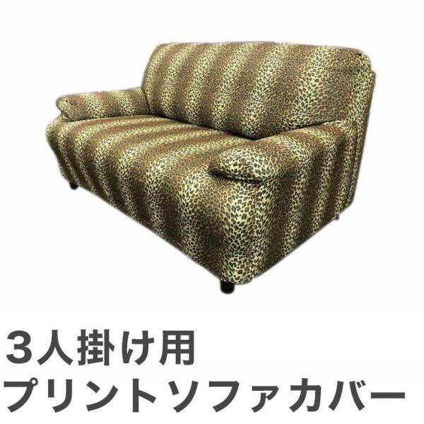 vg\t@Jo[ qE 3l| \t@[Jo[ 3p\t@ It IȂ Lk k Jo[ Xgb`  s