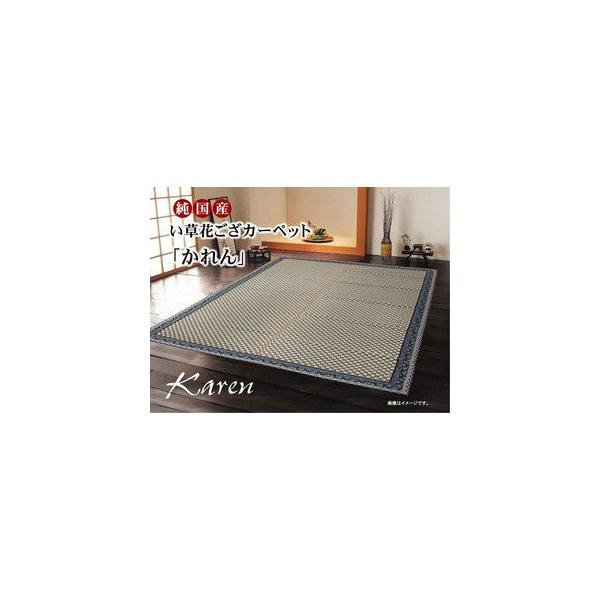 Y CԂJ[ybg wx u[ ]ˊ6i261×352cm)