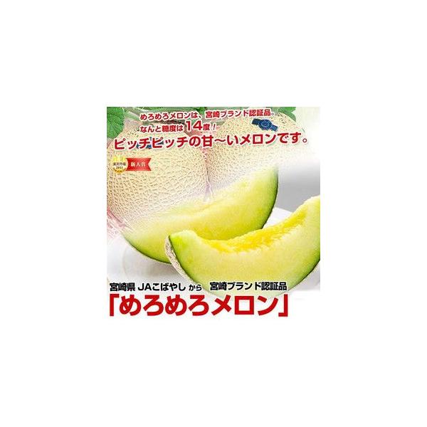 特aランク品 宮崎県 Jaこばやし 宮崎ブランド認証品 めろめろメロン 青肉2玉 1 5 1 6キロ 2 Buyee Buyee Japanese Proxy Service Buy From Japan Bot Online