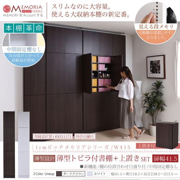 {I bN VFt 1cmsb` ʎ[ MEMORIA I1cmsb`ŉ ^t41.5 uZbg FRM-0100DOORSET s