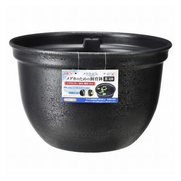 _JC_Ĵ߂̎甫320 Ϗ܋