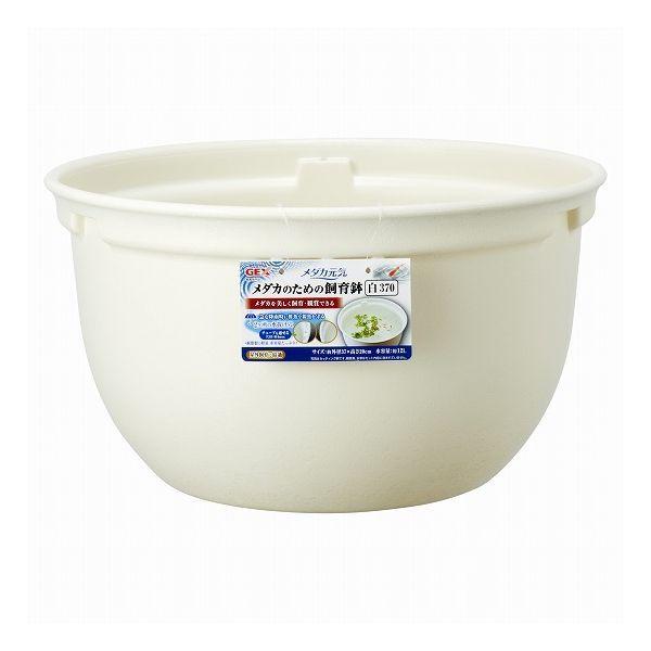 WFbNX _JC _Ĵ߂̎甫 370