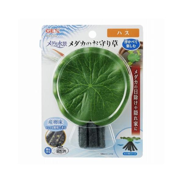 WFbNX GEX _Ji _Ĵ葐 nX