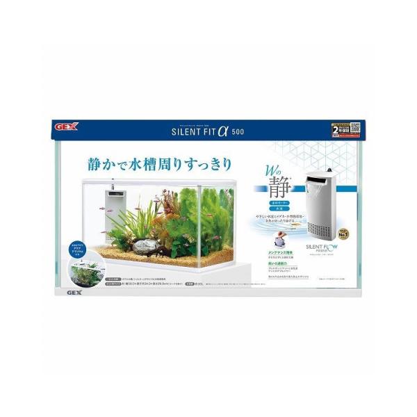 WFbNX GEX TCgtBbgAt@500