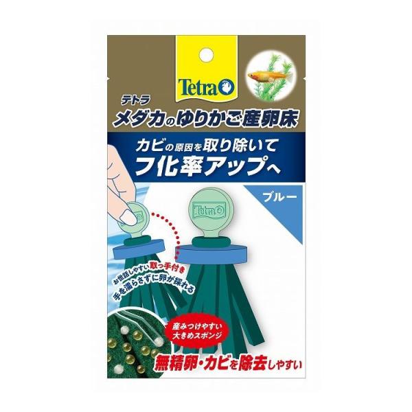 XyNguYWp Tetra eg _Ĵ肩Y u[