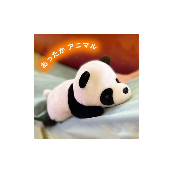 zbg X`[pbhAj} p_ F20960  l` ʂ  JC W dqW zbg r[Y s