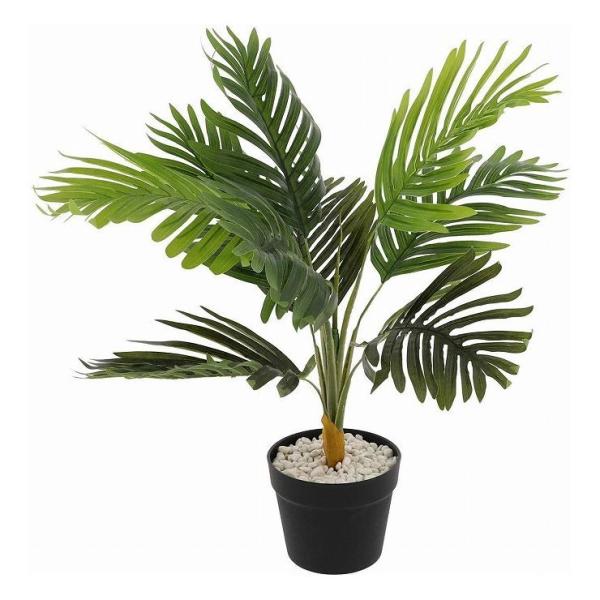 テーブル ヤシ 花の人気商品 通販 価格比較 価格 Com