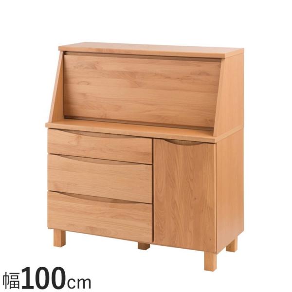 { VR p\RfXN 100 CeBOr[[ A_[ fXN Y ؐ wK ׋  k Ch ot s