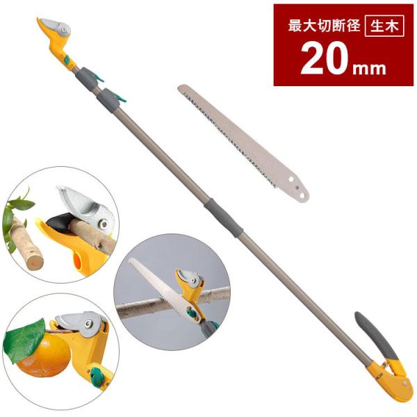 TV p t rvbVJbg 3iArn No.531-9 y Lk ͂  ͂ K[fjOpi  }  | |pi s