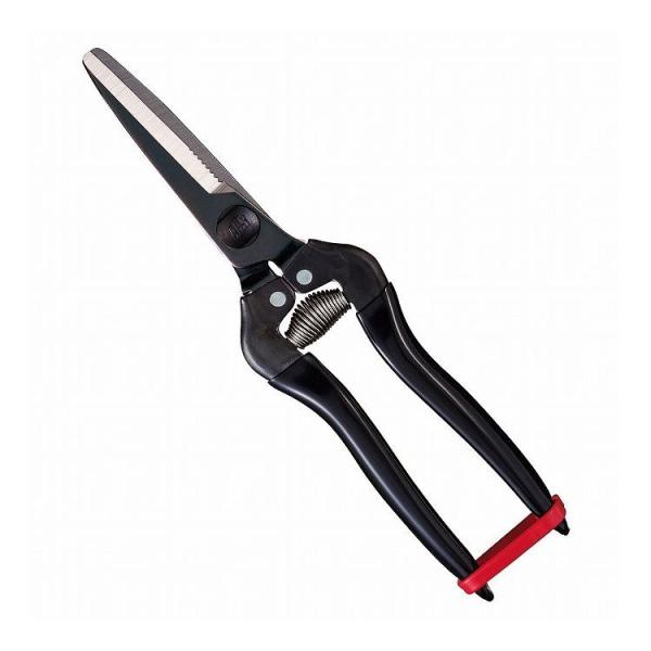 AXR[|[V prH KG-300LW-BP