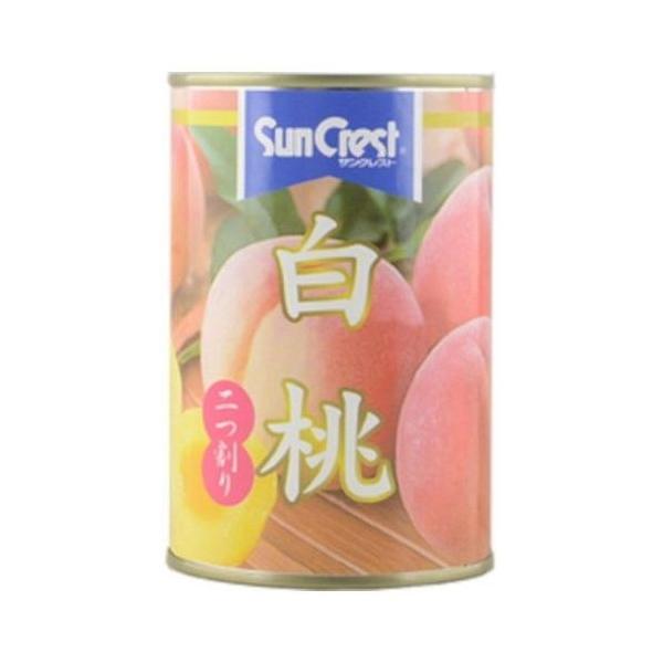 12Zbg TNXg  425g x12R s