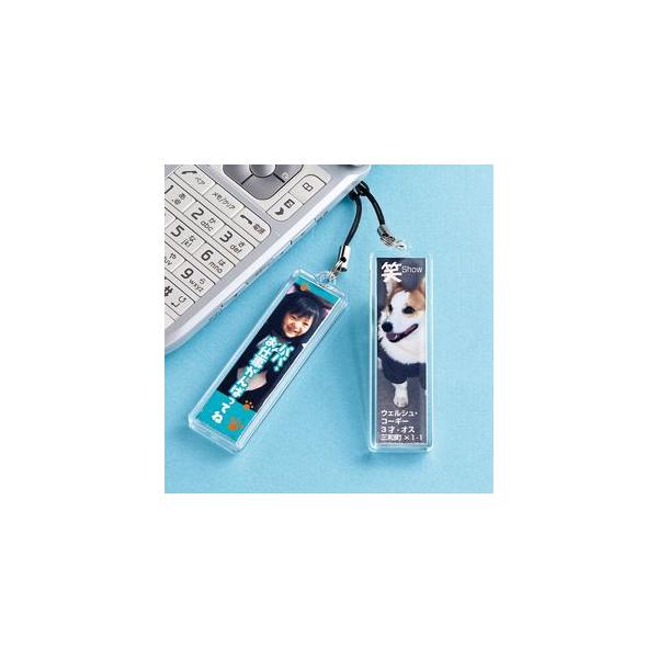 XgbvLbg(XeBbN^) TTvC JP-ST14