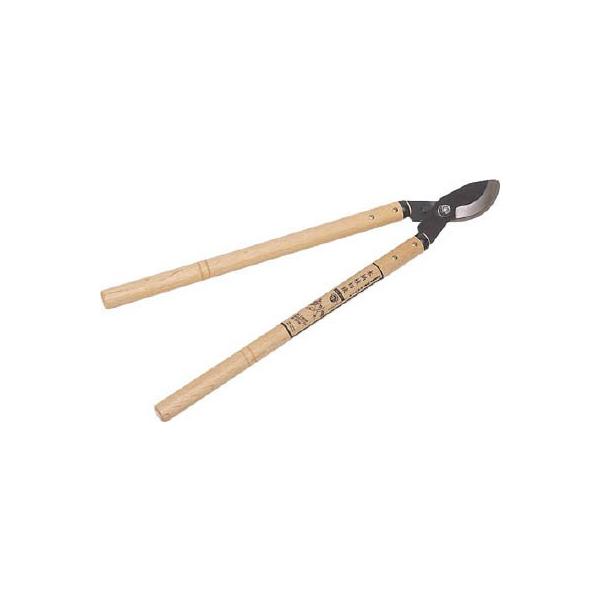 fr ؕ} NO2016 ΉpiE|pnT~