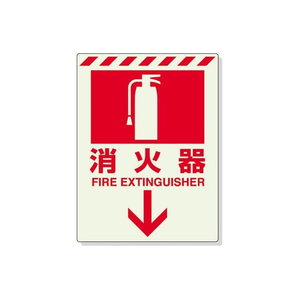 jbg ~XebJ[ Ί  300×225  831-08 SpiEWEpW