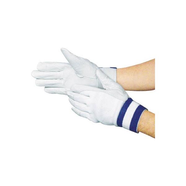 xmO[u e|807k 5807 Ǝ܁Ev