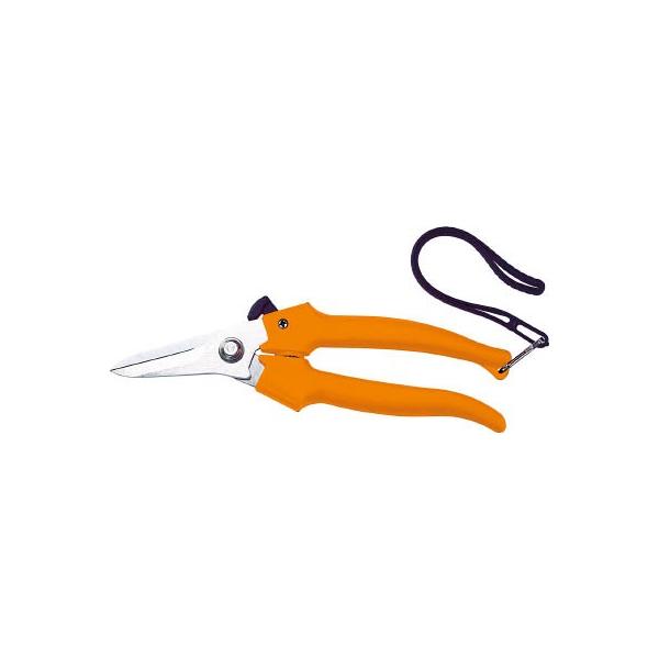 sqtrbn P[u͂ 188 ̓^Cv TCH-019 dݍHEP[uJb^[