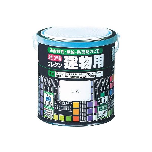 ���b�N �����E���^�������p ���� 1�D6�k H06-0203 6S �h���E�����p�i�E�h��