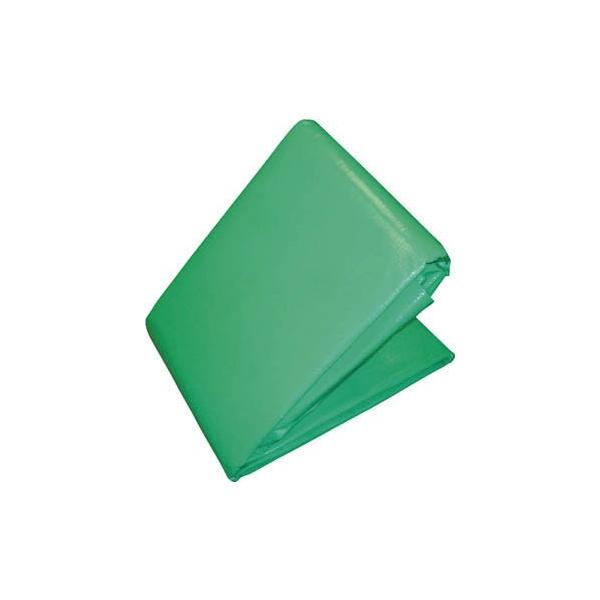 �s�q�t�r�b�n �O���[���^�[�s�[�V�[�g��3000 ��3�D6���w����5�D4�� TP-3654-GN �V�[�g�E�u���[�V�[�g