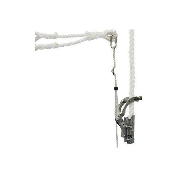 c XΖʃAVXgbv SS21-AS-BX یES