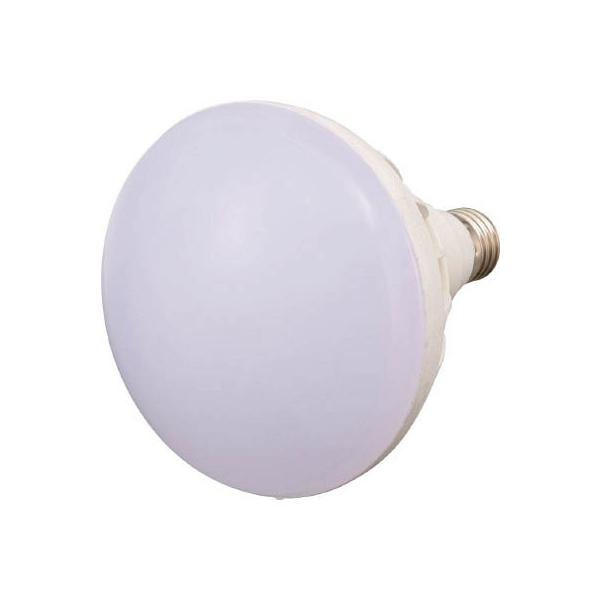 sqtrbn kdcp 20v kdc RTL-20W ƓEƖpiE