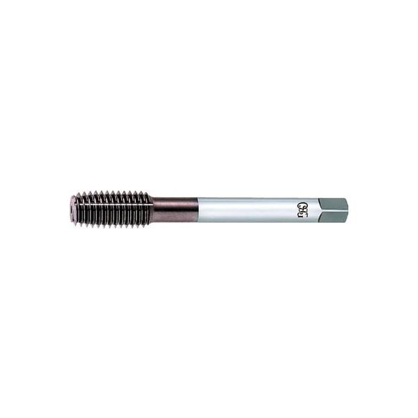 �n�r�f �^�b�v VP-NRT-P-RH4-M1X0.25 �˂��؂�H��E���[���^�b�v