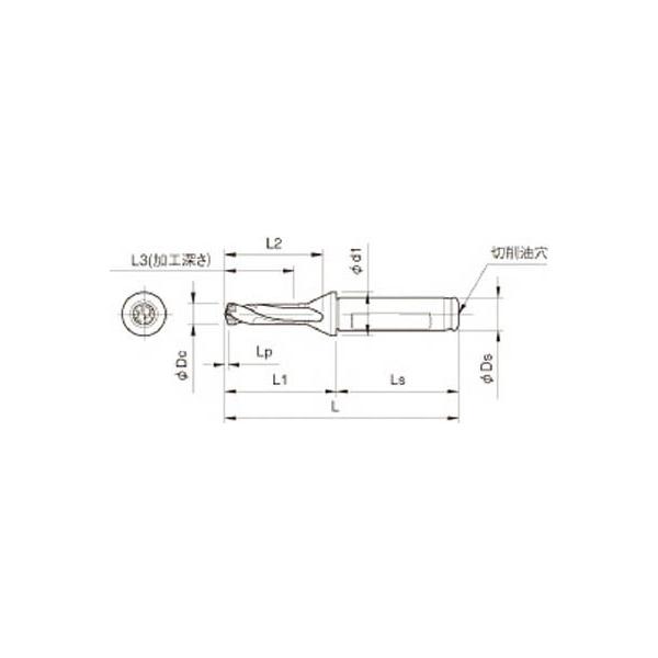 ���Z�� �h�����p�z���_ SF25-DRC210M-3 ����E�t���C�X���H�H��E�z���_�[