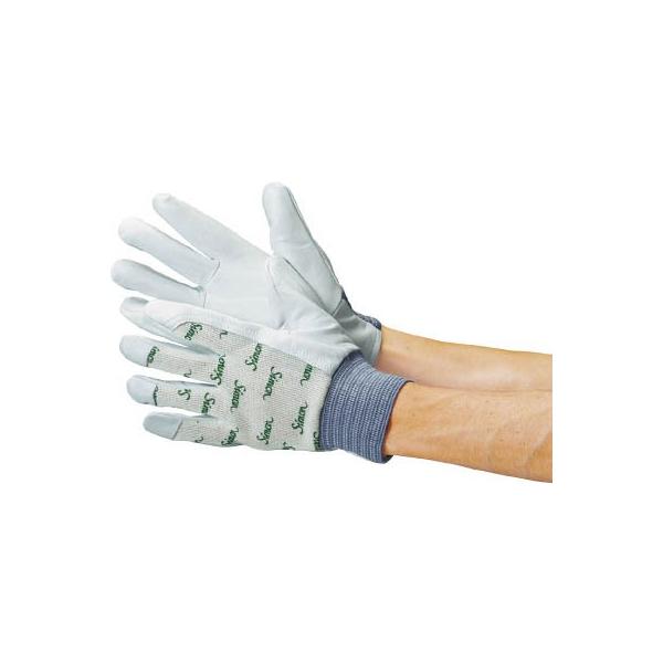 V {v bXS^bN 126 k 126W-L Ǝ܁Ev