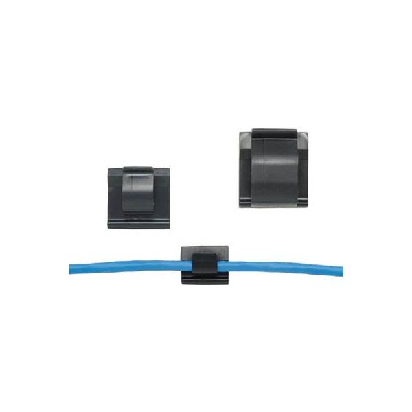 phECbg Œ R[hNbv SnSe[vt  ACC19AC20