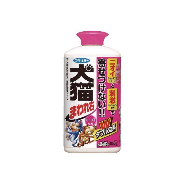 t}L[ L܂E܂WTO[Y̍ 439298