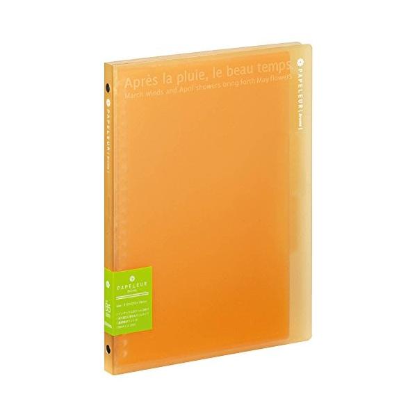 LNgE XoC_[ py[u[ IW B5 26 LN223OR