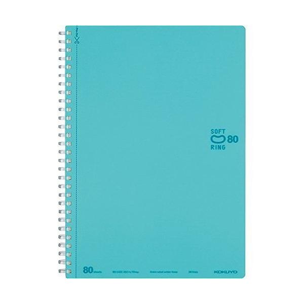 RN \tgOhbgBr80B5 X-SV308BT-LB