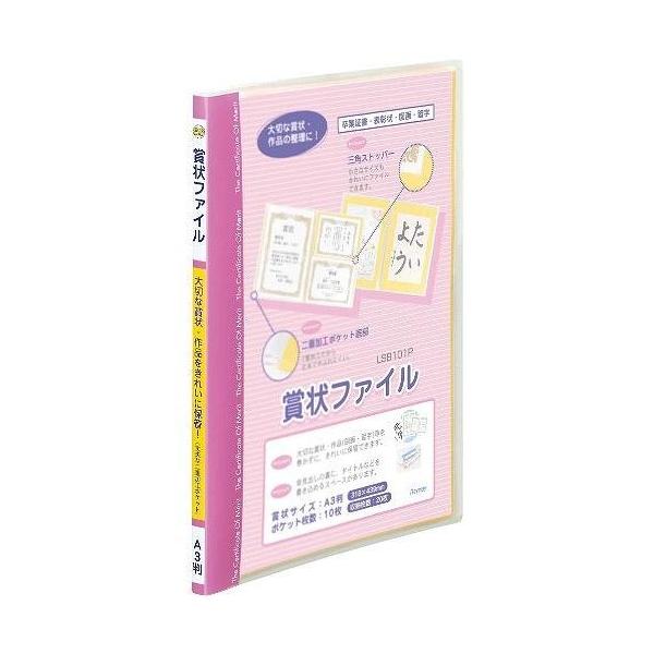 CC ܏t@C A3 LSB101P sN