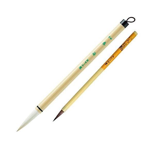  M {g 4+8 wZʗp ALS-100