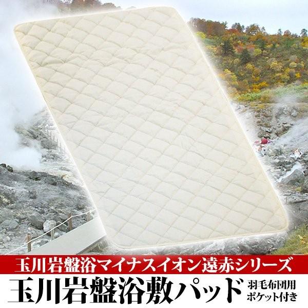 ʐ՗}CiXCIԃV[Y ʐ՗@~pbh@x[Wn s