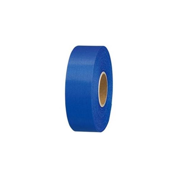 �W���C���e�b�N�X �J���[���{���� 24mm*25m 10�� B824J-NB10 ����s��