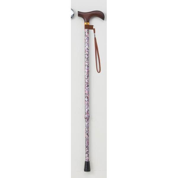 /t[LkXebLII (1) 10iK߉ A~ (s⏕pi/pi) (p[v) s