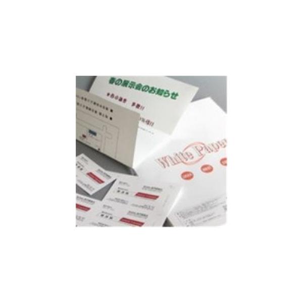 iƖp3ZbgjNagatoya zCgy[p[ i-014  A3 100 s