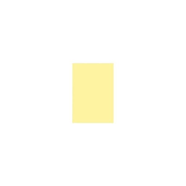 (Ɩp20Zbg)WCebNX Fp/Hp kl؂ 10×20Zbgl N[ P144J-16 s