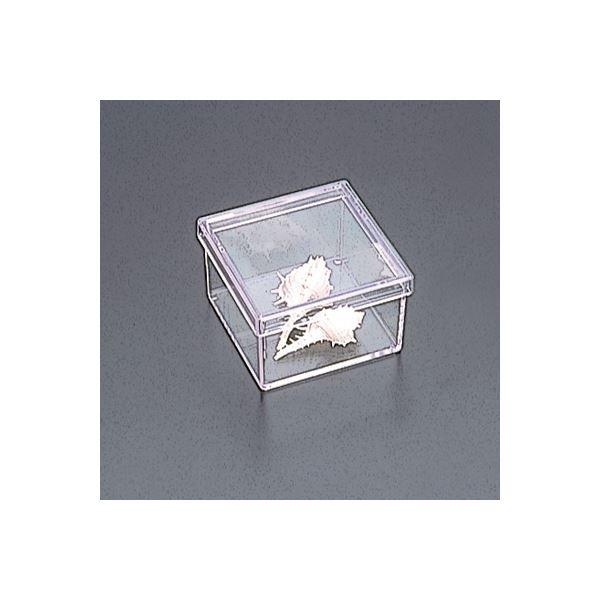 (ƖpZbg) LpeB \bh XNGA^t^t^Cv CSD-BK4 NAk×10Zbgl s