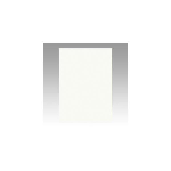 iƖpZbgj ^ j[J[R lc 392×c542mm 4NCR-152 ~N 100 k×2Zbgl s