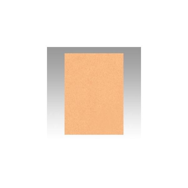 iƖpZbgj ^ j[J[R lc 392×c542mm 4NCR-109  100 k×2Zbgl s