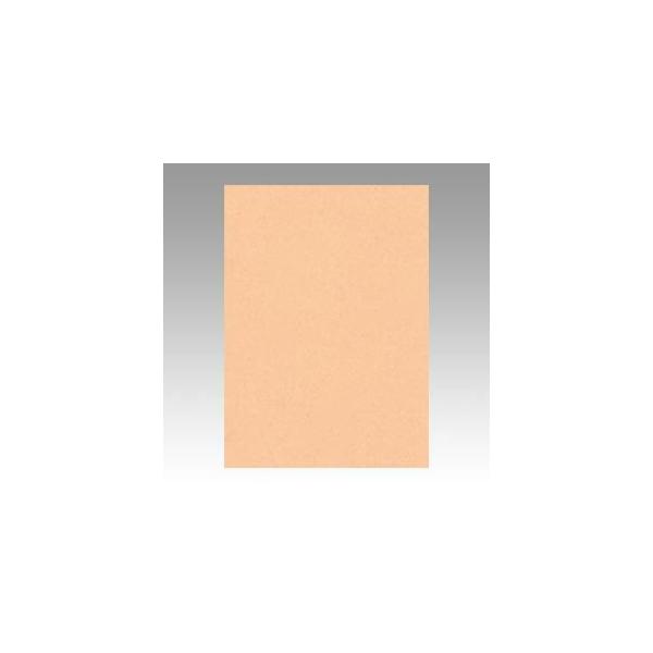 iƖpZbgj ^ j[J[R lc 392×c542mm 4NCR-103 ͂ 100 k×2Zbgl s