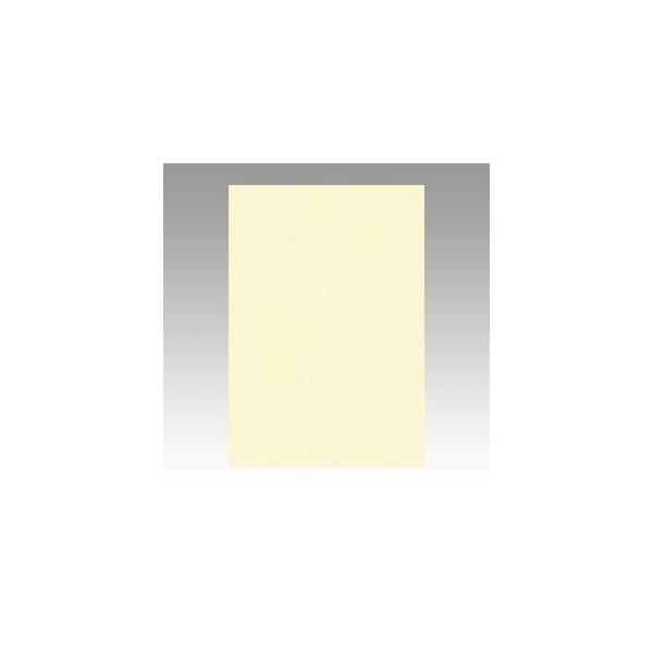 iƖpZbgj ^ j[J[R c 271×c392mm 8NCR-112 N[ 100 k×2Zbgl s