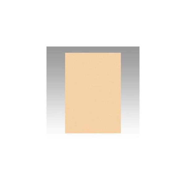 iƖpZbgj ^ j[J[R c 271×c392mm 8NCR-111 炿 100 k×2Zbgl s