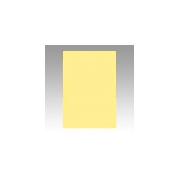 iƖpZbgj ^ j[J[R c 271×c392mm 8NCR-101 N[ 100 k×2Zbgl s