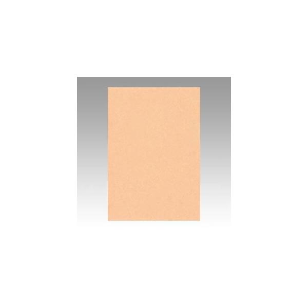 iƖpZbgj ^ j[J[R c 271×c392mm 8NCR-103 ͂ 100 k×2Zbgl s