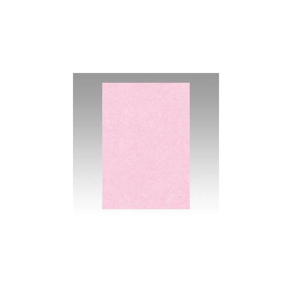 iƖpZbgj ^ j[J[R c 271×c392mm 8NCR-218  100 k×2Zbgl s